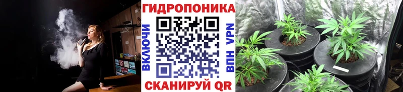 Купить закладки  Курганинск  Марихуана конопля 